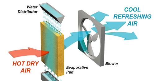 Apa efek cooling saka cooler online evaporative ora apik